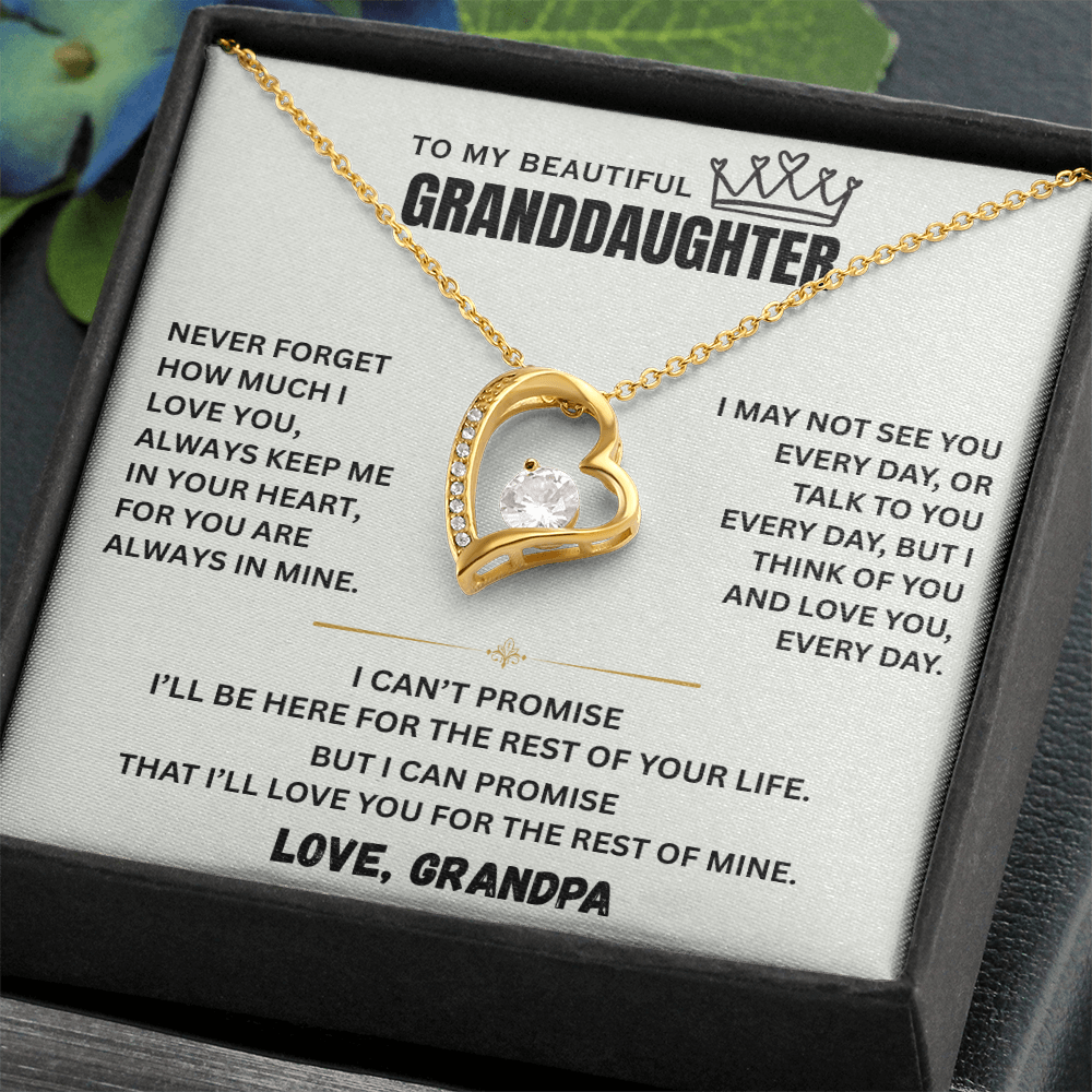 To My Granddaughter Princess Crown Pendant Gift Set- FG00092