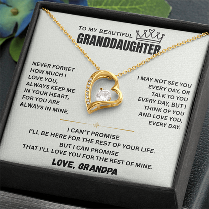 To My Granddaughter Princess Crown Pendant Gift Set- FG00092