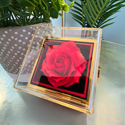 To My Granddaughter - Love Knot w/ Rotating Rose Gift Box - FG00054